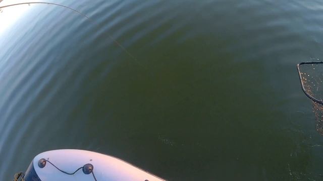 Большой ЛЕЩ на джиг!!! Спиннинг на Иртыше. смотреть онлайн