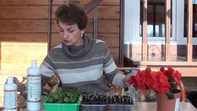 Биологические препараты для сада. "Экомик" Урожайный – урожай без химии! смотреть онлайн