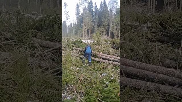 тдт-55 чекировка леса смотреть онлайн