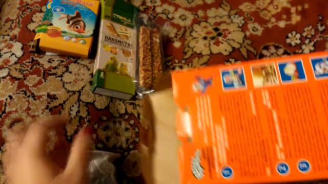 Покупки из Зоомагазина для моих питомцев)))) смотреть онлайн