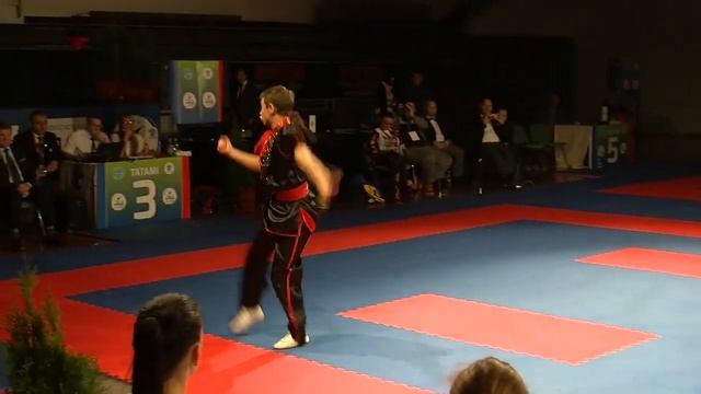 Linar Bagautdinov (RUS) WAKO European Championships 2014 смотреть онлайн