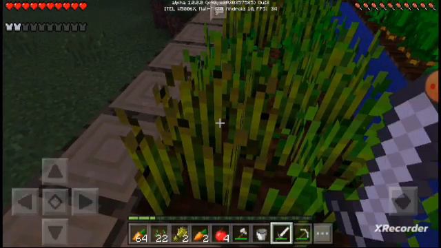 ТИМУР ОТВЕЧАЕТ НА МОИ ВОПРОСЫ ДА😎 ИЛИ НЕТ😭 смотреть онлайн