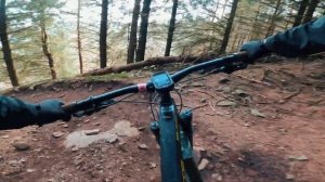 HOT STEPPER - Bike Park Wales