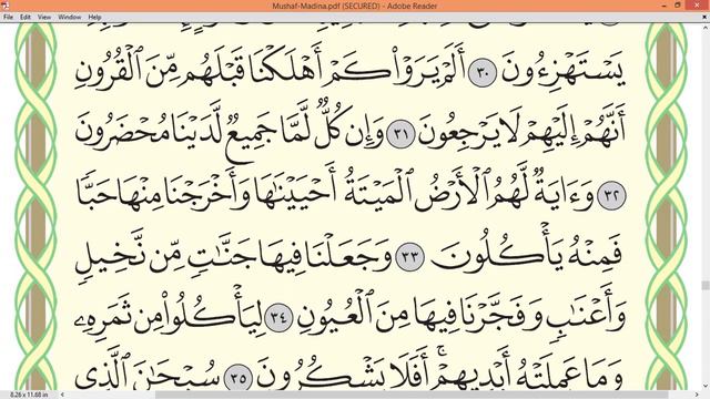 Practice Reciting With Correct Tajweed - Page 442 (Surah Ya-Sin)