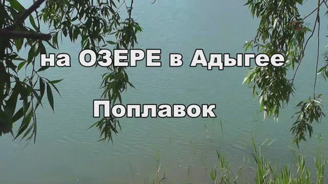 Рыбалка на Озере в Адыгее на поплавочную удочку. Подводная съемка. Fishing. Рыбалка- как вижу её Я смотреть онлайн
