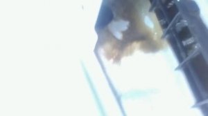 Hyundai Accent-как попадает вода в багжник