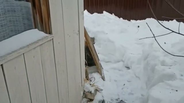 Мы купили дачу!!! Обзор дачного участка в п. Мурзинка (Свердловская область) смотреть онлайн