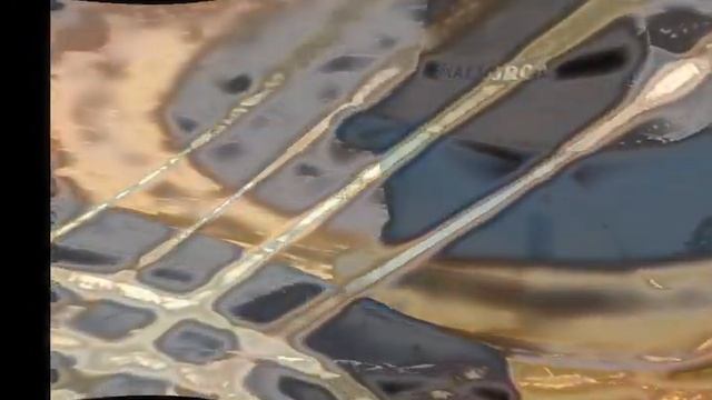 European New Flamenco Foundation смотреть онлайн