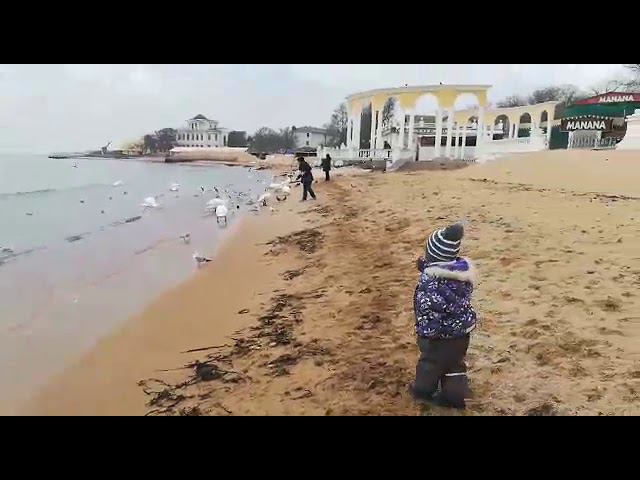 Тимофей_декабрь_2018 смотреть онлайн