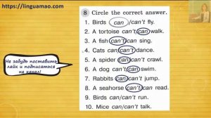 Spotlight (английский в фокусе) 3 класс Грамматический тренажер страница 53 номер 8 ГДЗ решебник