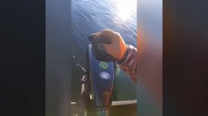 ЭЛЕКТРО мотор и ТЯГОВЫЙ аккумулятор для лодки ПВХ.