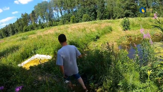 Серега гуру на даче. Золотые рыбки смотреть онлайн