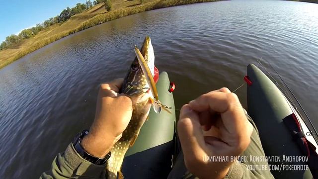 не ну теперь рыбы точно богачеменя. У них теперь и Ipad и айфон. смотреть онлайн