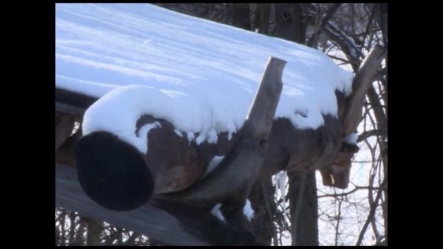 Пряничный домик. Колун, тесло, топор смотреть онлайн