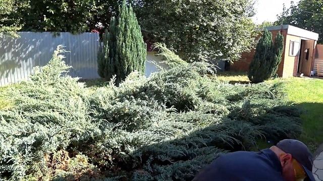 ПЕРЕЕХАЛИ НА ЮГ ОБЕЩАЛИ РЕМОНТ, А САМИ... смотреть онлайн