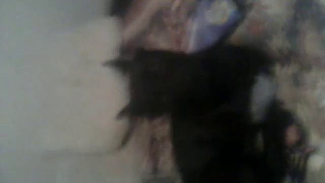 Моя собачка смотреть онлайн