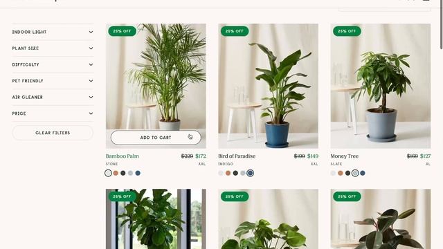 Design Inspiration 02 - Bloomscape