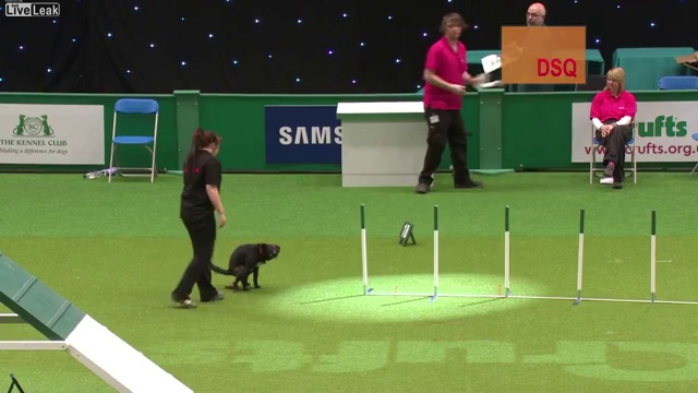 Собачий провал смотреть онлайн