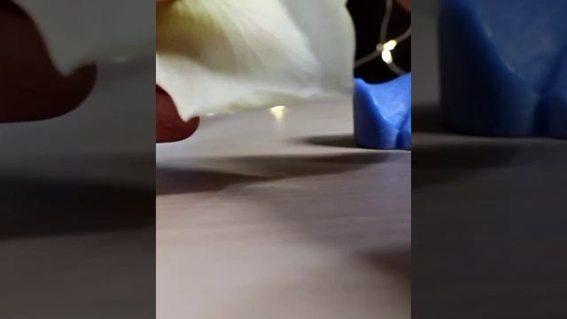 Творческий процесс создания розы из флористической полимерной глины (холодный фарфор) смотреть онлайн