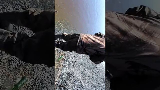 Рыбалка на оби в Стрежевом. Супер спининг. Осетр на спининг. Осетр сломал спининг. Прикол на рыбалк смотреть онлайн