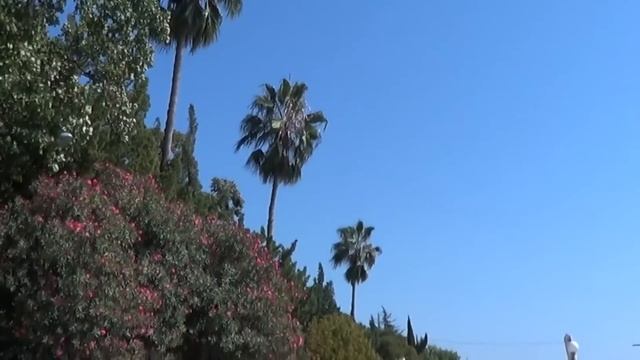 Абхазия 2019 | Гагры | Пицунда | Новый Афон | Гудаута | Сухум | Багрипш