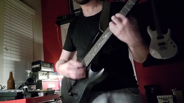 schecter Damien-7, a wah pedal, and a Boss Tera Echo. sorry not sorry. смотреть онлайн