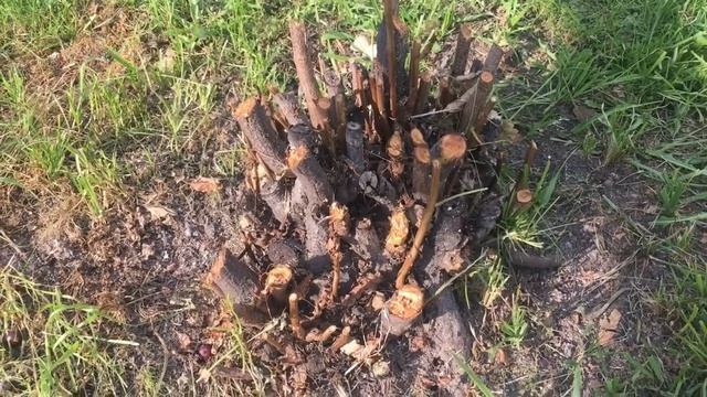 Солим и маринуем огурцы)Помощник в саду)Сломанныйхолодильник смотреть онлайн