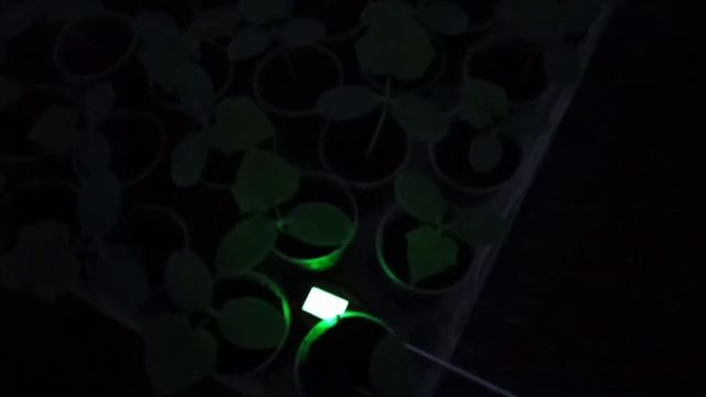 SOS,SOS,пропало електричество,что надо делать☝️ смотреть онлайн