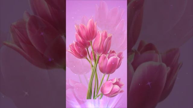 Красивое поздравление с 8 марта | Онлайн-офис sharm.kz смотреть онлайн