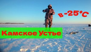 Камское Устье рыбалка на берша и судака В МОРОЗ - 25 , ЖЕСТЬ . Блесна Адмирал. Зима 20-21 гг.