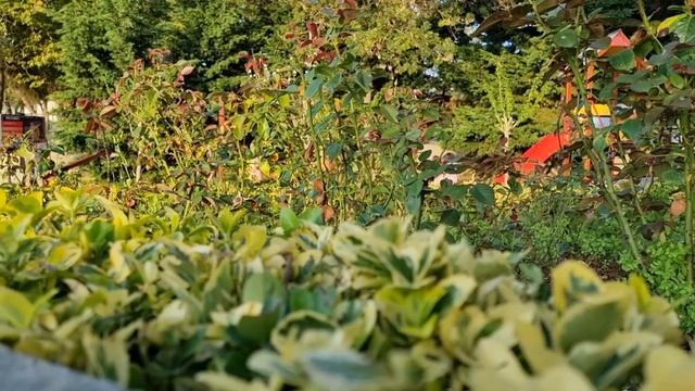 Стамбул/Турция/Ждём свой круизный лайнер #турция #istanbul #лайнер смотреть онлайн