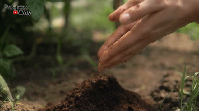 В Разы Питательнее Навоза И Не Воняет! Показываю Результат Перегнившей В Мешке За Лето Травы! смотреть онлайн