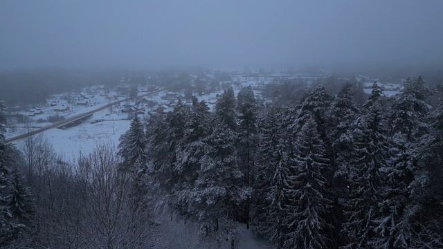 Зима,туман ,лоси 2022.