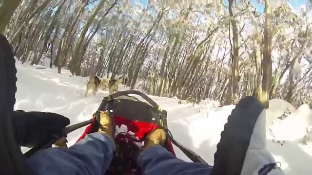 Mt Baw Baw Huskies смотреть онлайн