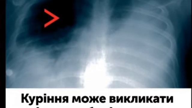 Тюремная решетка из сигарет смотреть онлайн