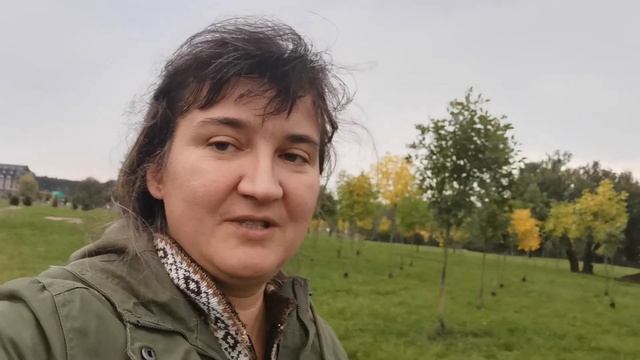 Простая тренировка на каждое утро смотреть онлайн