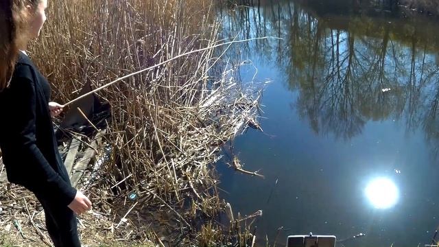 Как мы ловили в детстве! Удочка из камыша + перьевой поплавок = супер позитивная рыбалка! смотреть онлайн