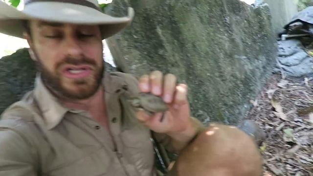 How Quickly Does A Tortoise Grow? (kamp kenan) смотреть онлайн