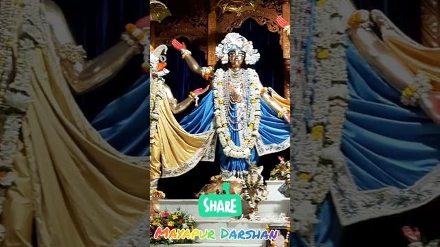 #RadhaMadhava #Panchatattva #Prahlad #Nrisimhadev #Darshan || #ISKCON #Mayapur #Chandradaya #Temple смотреть онлайн