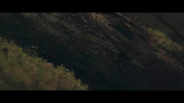 War of the North смотреть онлайн
