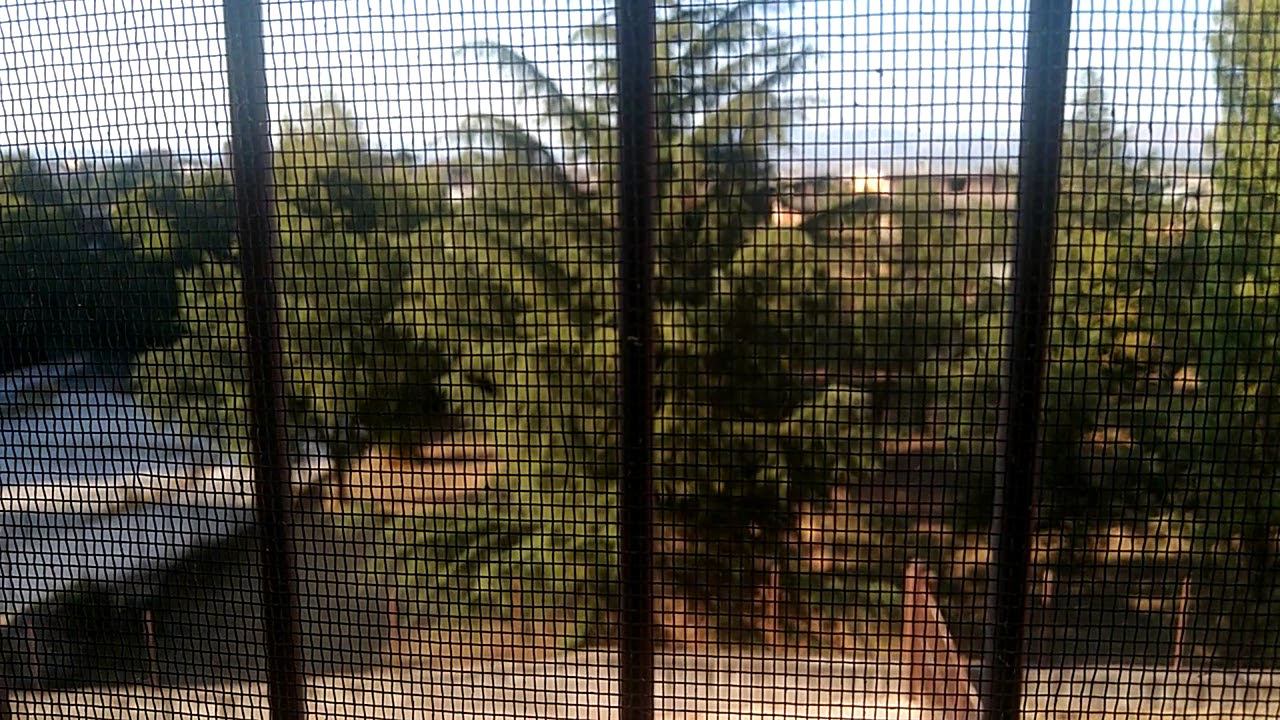 Мерзкий вой итальянской скорой помощи смотреть онлайн