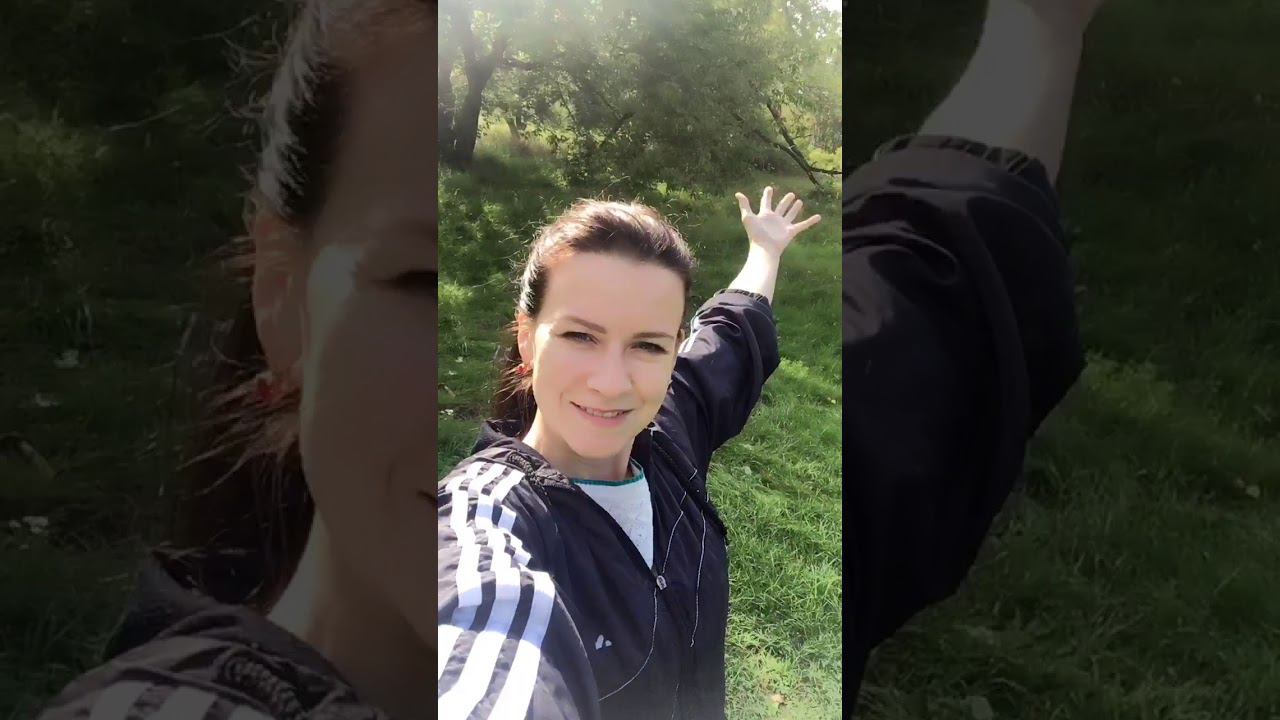 " Из-под покрова тьмы ночной..." смотреть онлайн