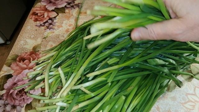 ????ВЫРАЩИВАНИЕ ЛУКА НА ЗЕЛЕНЬ ПОЗДНЕЙ ОСЕНЬЮ В ТЕПЛИЦЕ. Мой опыт