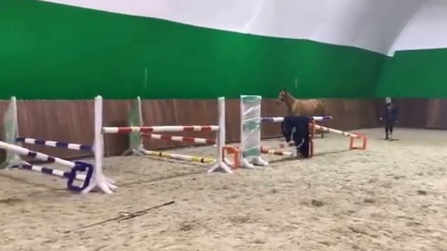 Ребекка в шпринте смотреть онлайн