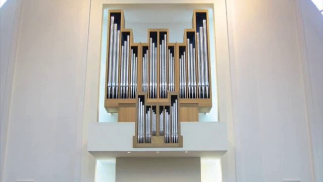 Chiel Jan van Hofwegen, improvisatie psalm 138 смотреть онлайн