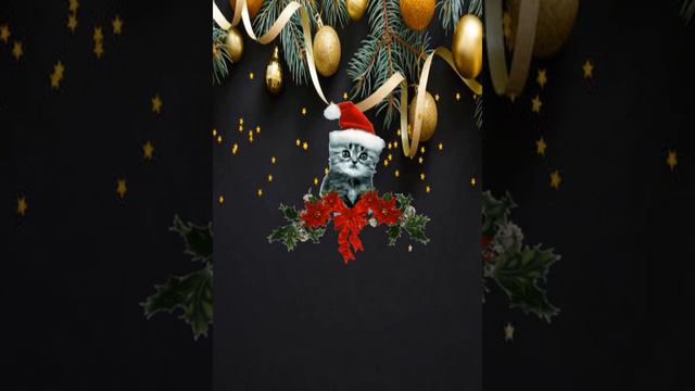 TARJETA NAVIDEÑA TQM смотреть онлайн