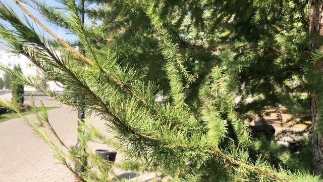 Меньше значит больше. Минимализм смотреть онлайн