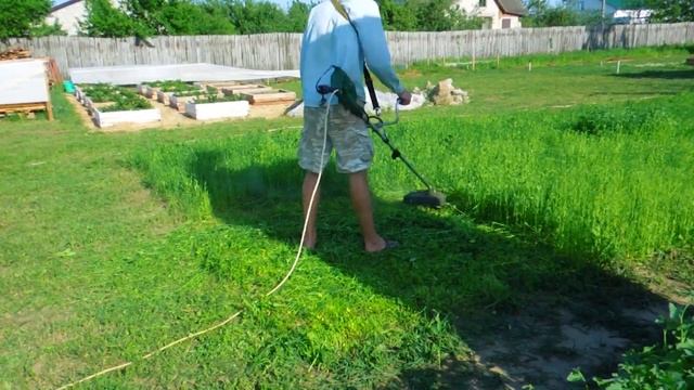 Удаляем сорняки и дерн с помощью семян ГОРЧИЦЫ и нанотехнологии смотреть онлайн