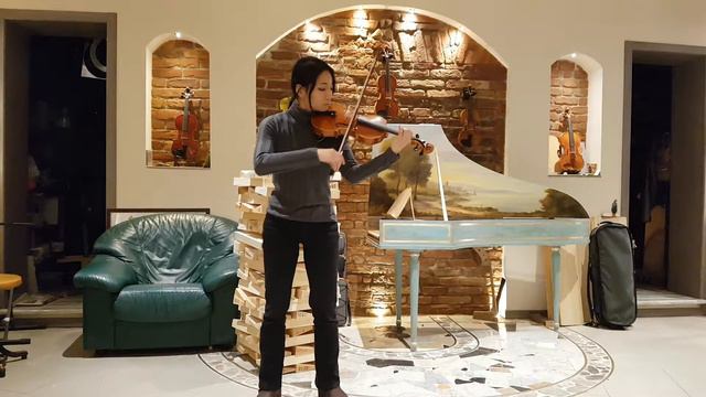 Violin Guarneri Model 2019