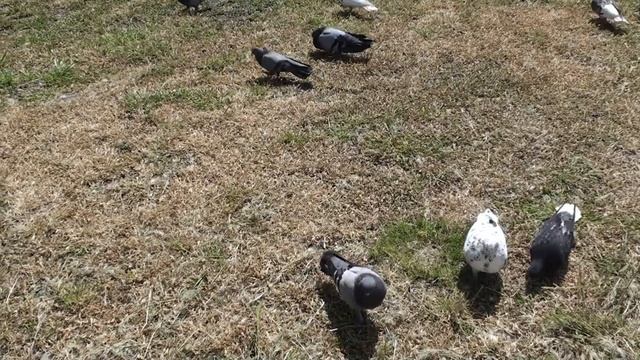 Сталося не так, як бажалося